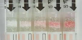 alkhoholtester how to use result
